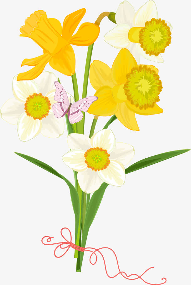 手绘水仙花矢量图