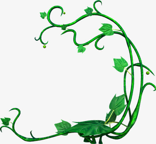 藤蔓素材免费下载_觅元素
