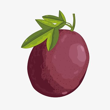 灰色水果素材_灰色水果图片元素-觅元素