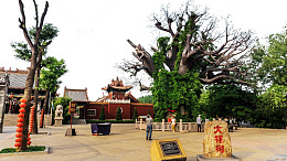 洪洞县大槐树景区