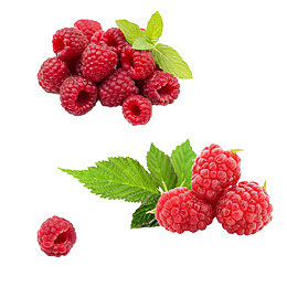 红色覆盆子免抠素材