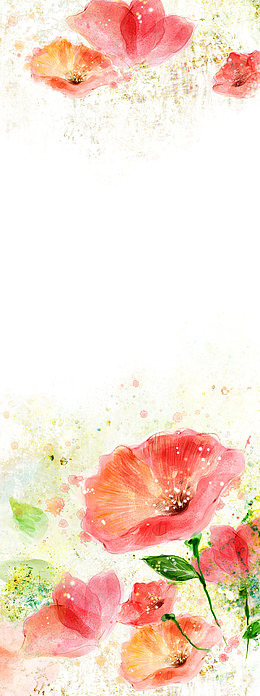手绘红色牵牛花素材背景