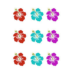 夏威夷花朵