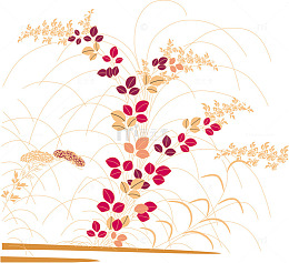 矢量日本风格花卉