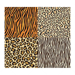 虎纹豹纹贴图