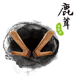鹿茸萌萌茶