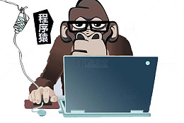 打着吊瓶的程序猿哥哥
