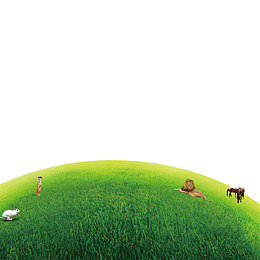 自然绿色的草地