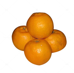 一堆柳橙图片素材