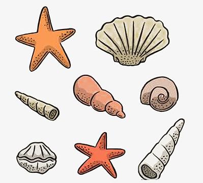 贝壳png海产品田螺矢量图png卡通贝壳和小鱼png白色圆点卡通橘色海星