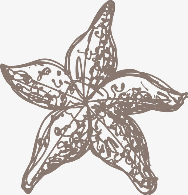 手绘矢量海星