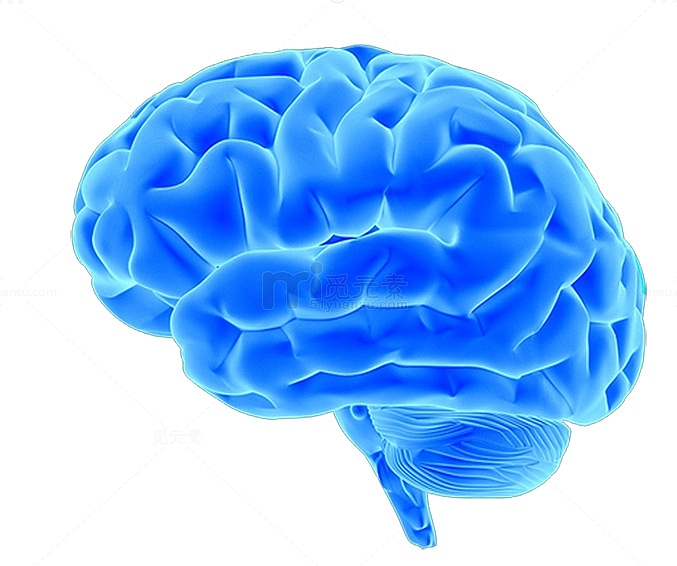 蓝色的脑子素材图片