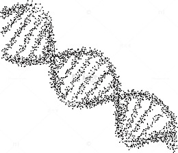 脱氧核糖核酸分子结构