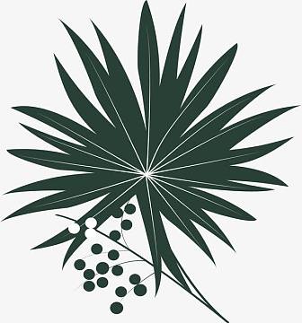 矢量图png矢量手绘绿色时尚叶子epspng龟背竹和鸡蛋花等夏季元素标签