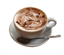 猫咪头像的拉花咖啡