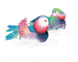 矢量鸳鸯