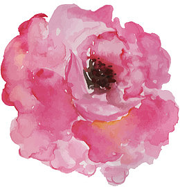 粉红手绘山茶花