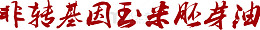 非转基因玉米胚芽油