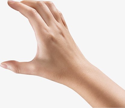 抓握手势健康手掌