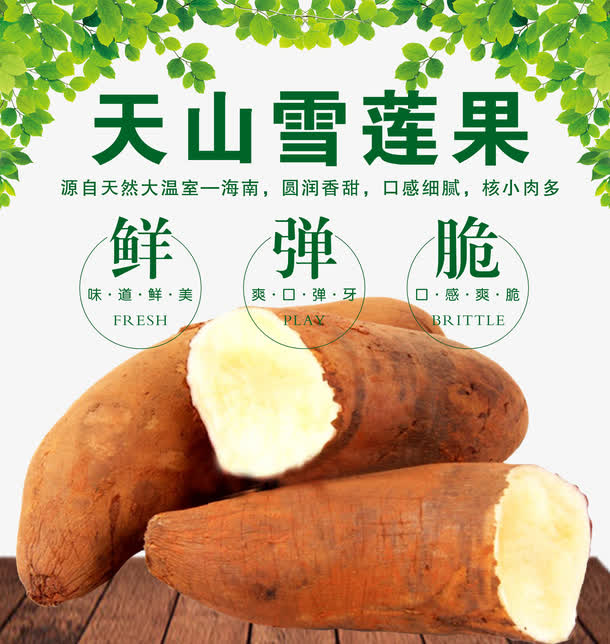 雪莲果免抠水果素材