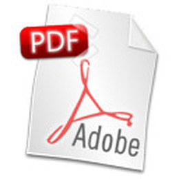 pdf文档标志