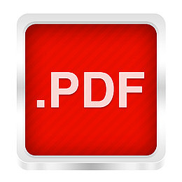 pdf标志图标