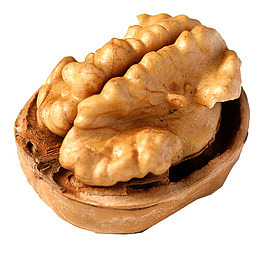 山核桃仁