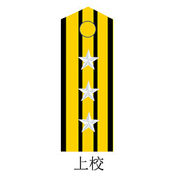 解放军上校矢量肩章