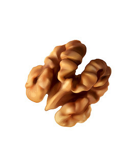 矢量棕色坚果核桃仁