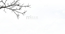 枯枝
