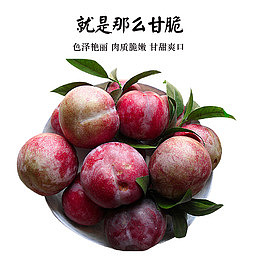 李子就是那么甘脆