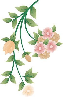 矢量手绘槐花