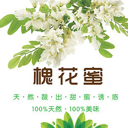 槐花蜜设计