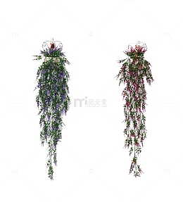 麦芽壁挂