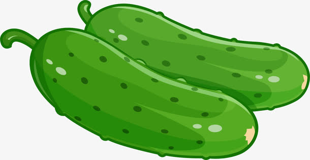 矢量手绘苦瓜
