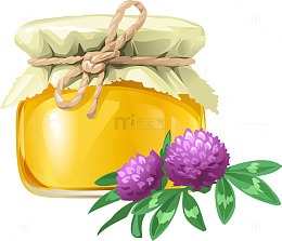 矢量手绘槐花蜂蜜