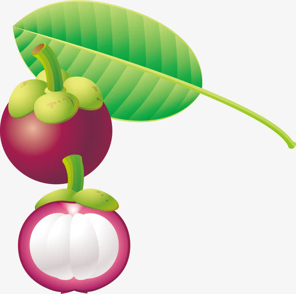 李子png矢量素材