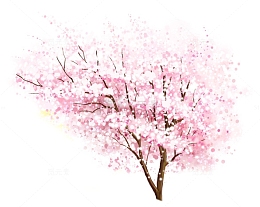 手绘水彩粉嫩桃花树