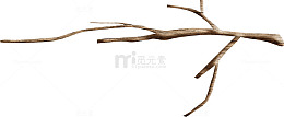 棕色枯枝树枝