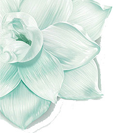 素描花