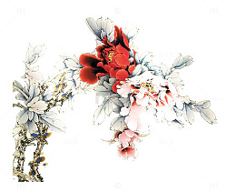素描花
