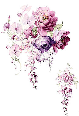 素描花