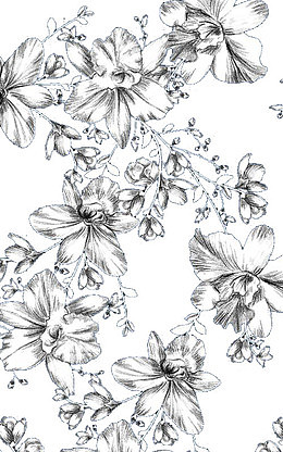 手绘素描花卉
