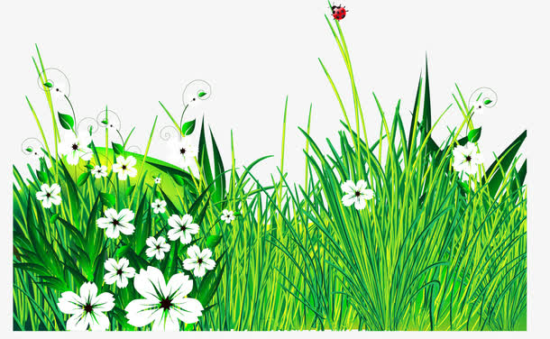 矢量手绘绿色草地