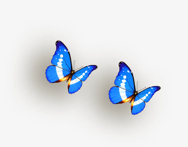 蝴蝶免抠素材免费下载_觅元素51yuansu.com