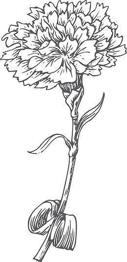 素描丝网花