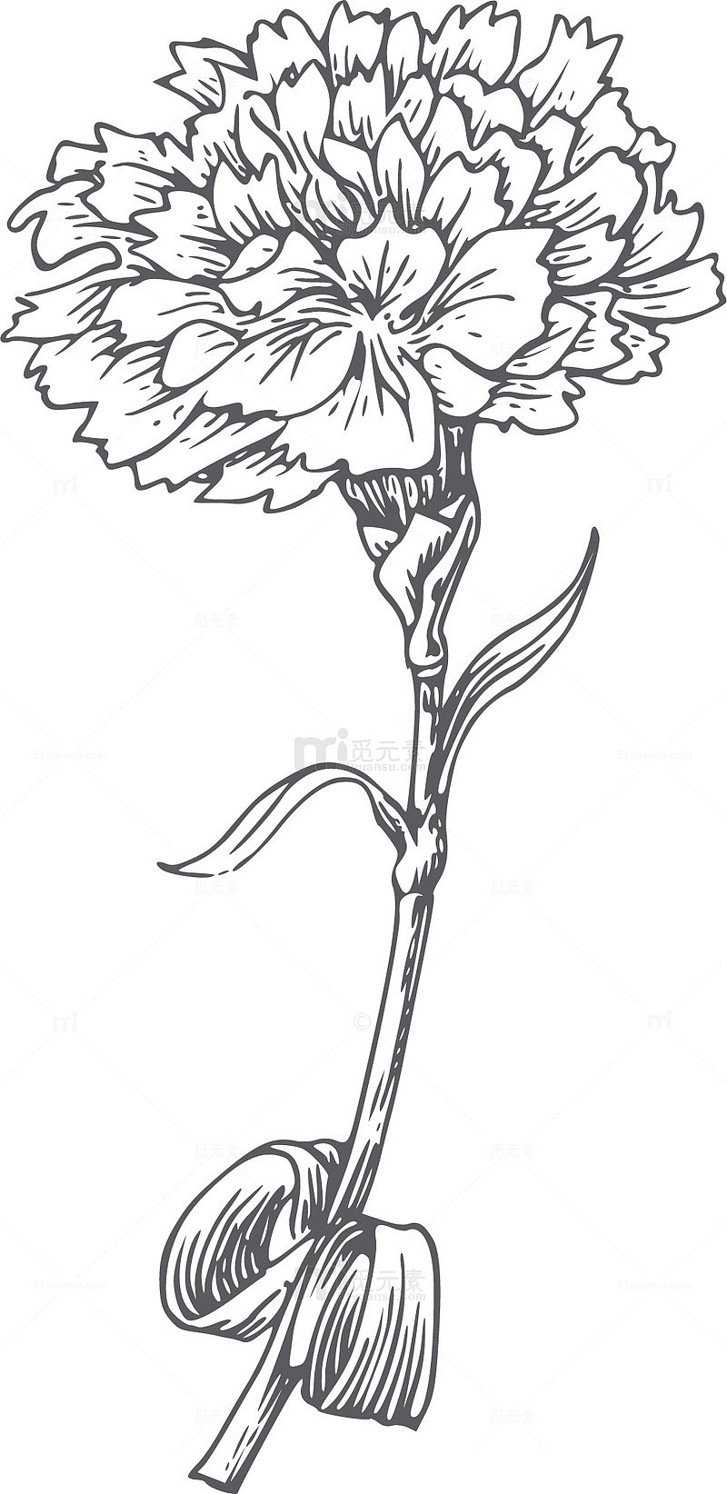 素描丝网花