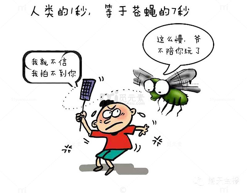 拍苍蝇手绘漫画
