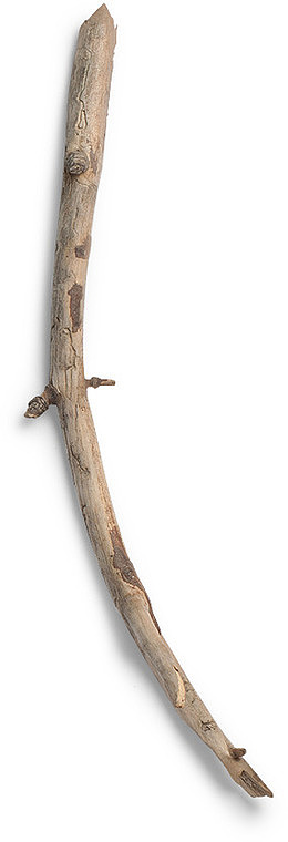 木棍