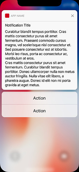 iPhone X通知窗口